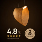 Suspension Rotin Led Design